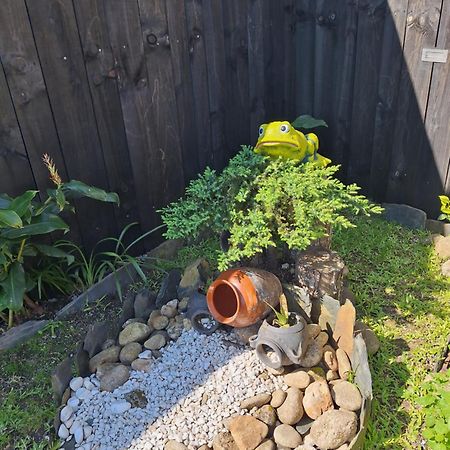 Recanto Do Sol Vieira do Minho Ngoại thất bức ảnh